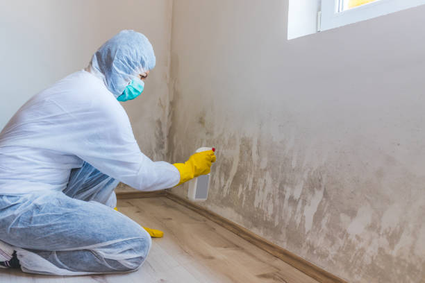 Hvac And Air Duct Mold Remediation inspection of HVAC system in Carrollton
